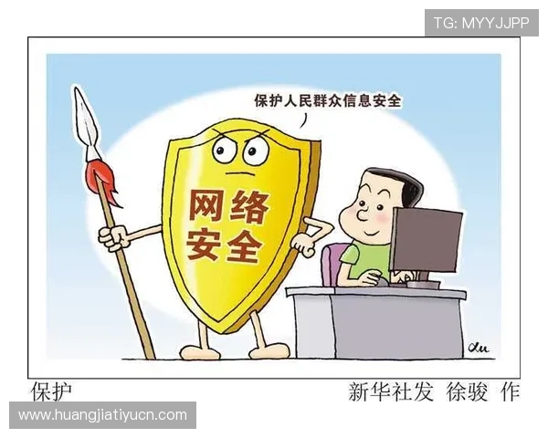 db体育平台安全性分析与用户隐私保护措施详解确保您的资金与信息安全